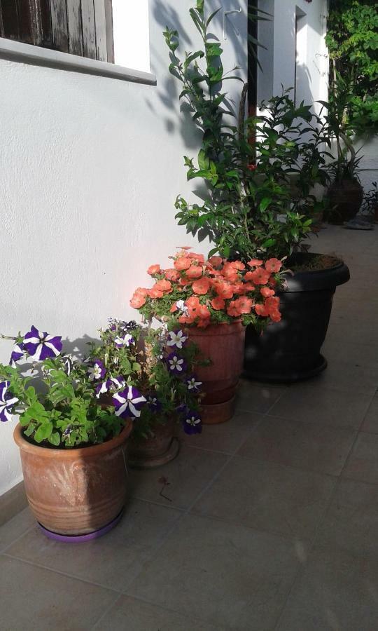 Αmmos Rooms Paleochora Exterior foto