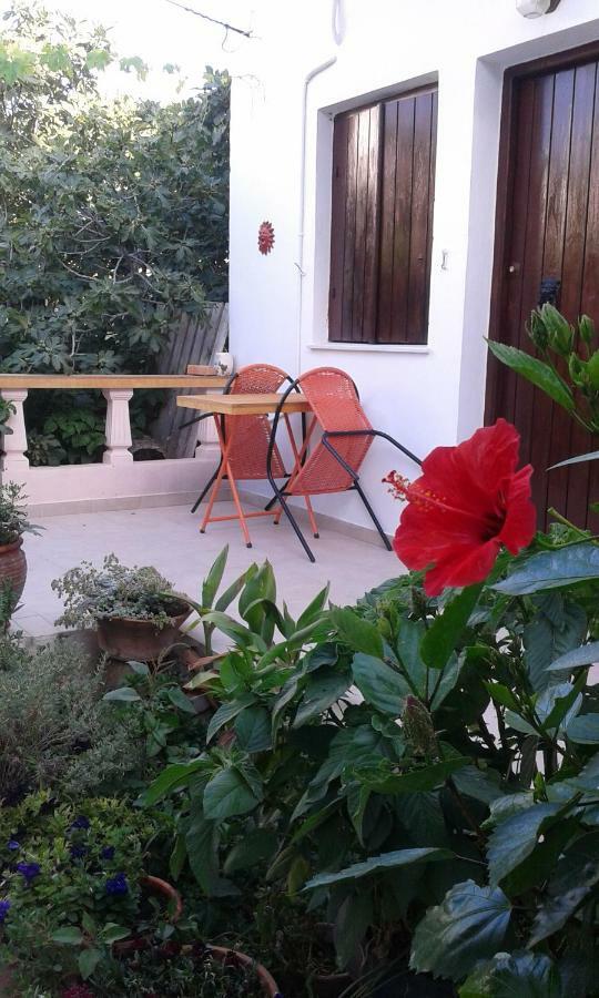 Αmmos Rooms Paleochora Exterior foto